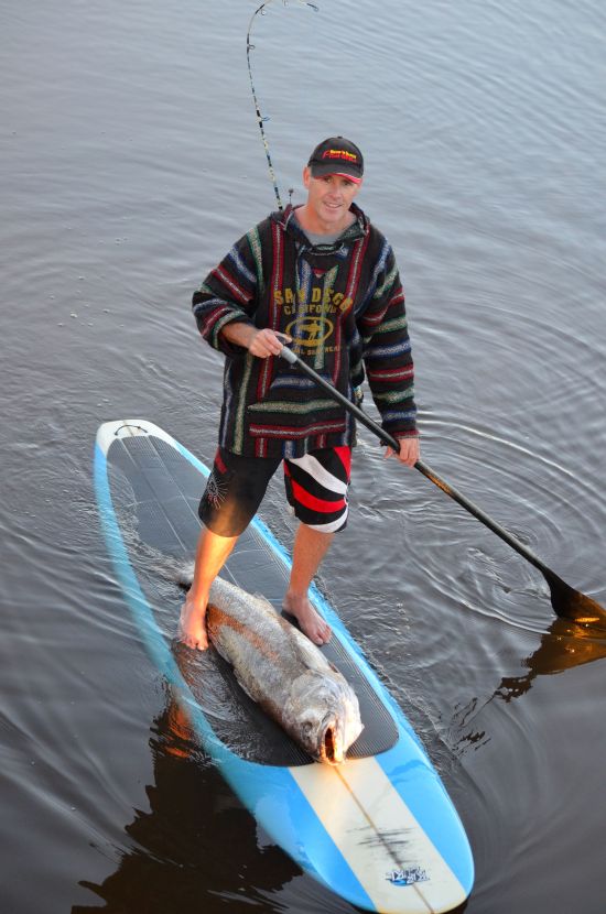 28kg Paddle board jewie!
